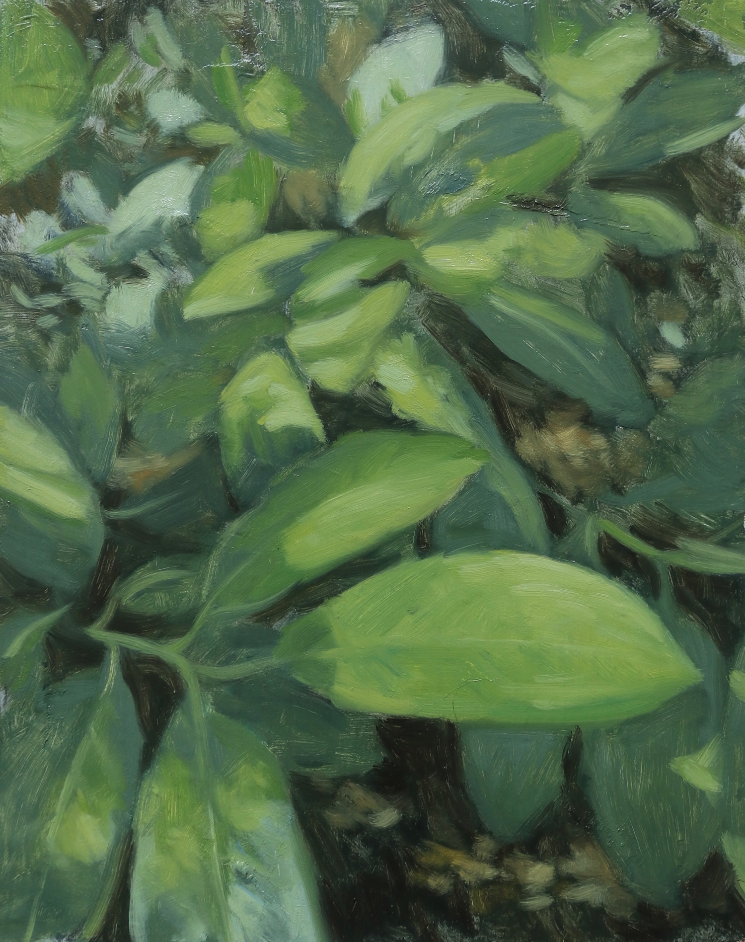 Artwork 4
